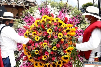 Dos silleteros arman una silleta