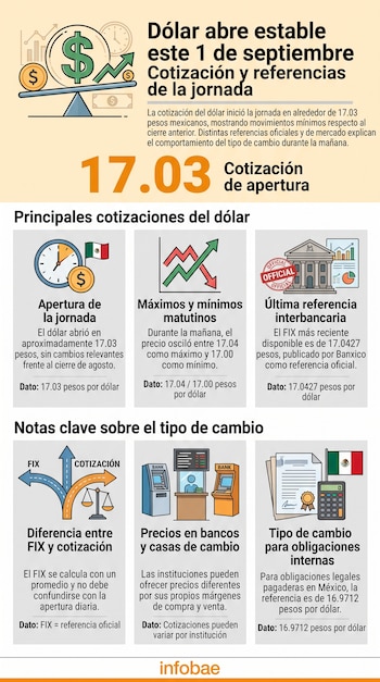 Infografía con texto, cifras numéricas, gráficos financieros e íconos ilustrativos sobre la cotización del dólar en México.