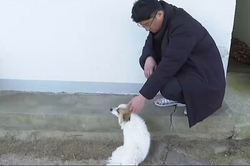 La historia de un perro