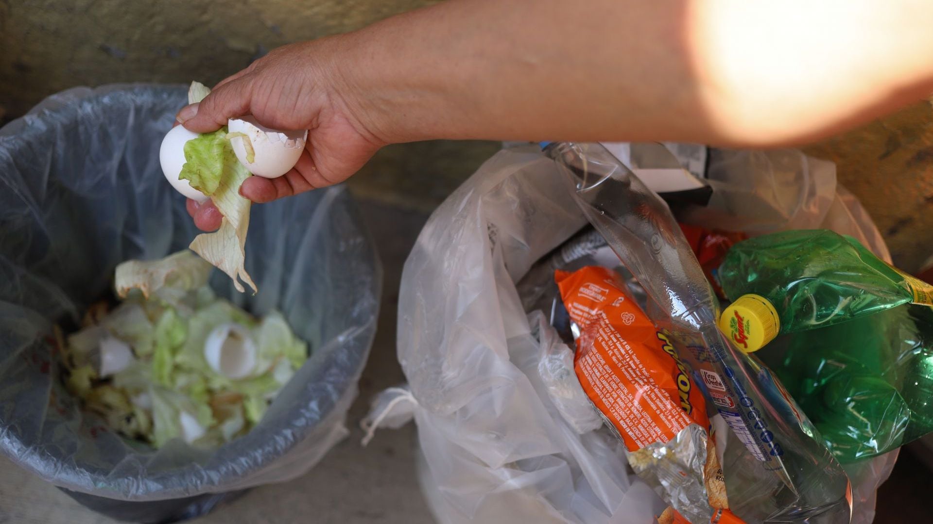 Todos los martes, jueves y sábados se recolectarán los residuos orgánicos. (Cuartoscuro)