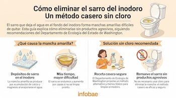 Infografía con texto sobre cómo eliminar el sarro del inodoro, un inodoro con manchas, ilustraciones de agua, mujer, vinagre, bicarbonato y un símbolo de prohibido el cloro.