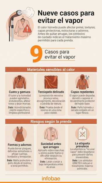 Infografía con ilustraciones de un vaporizador de ropa, prendas de vestir y bloques de texto informativo.
