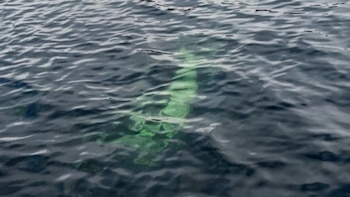 Misterio en Chubut: la Justicia investiga la aparición de una camioneta hundida en un lago