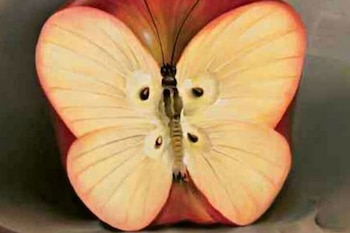 Test de personalidad: lo primero