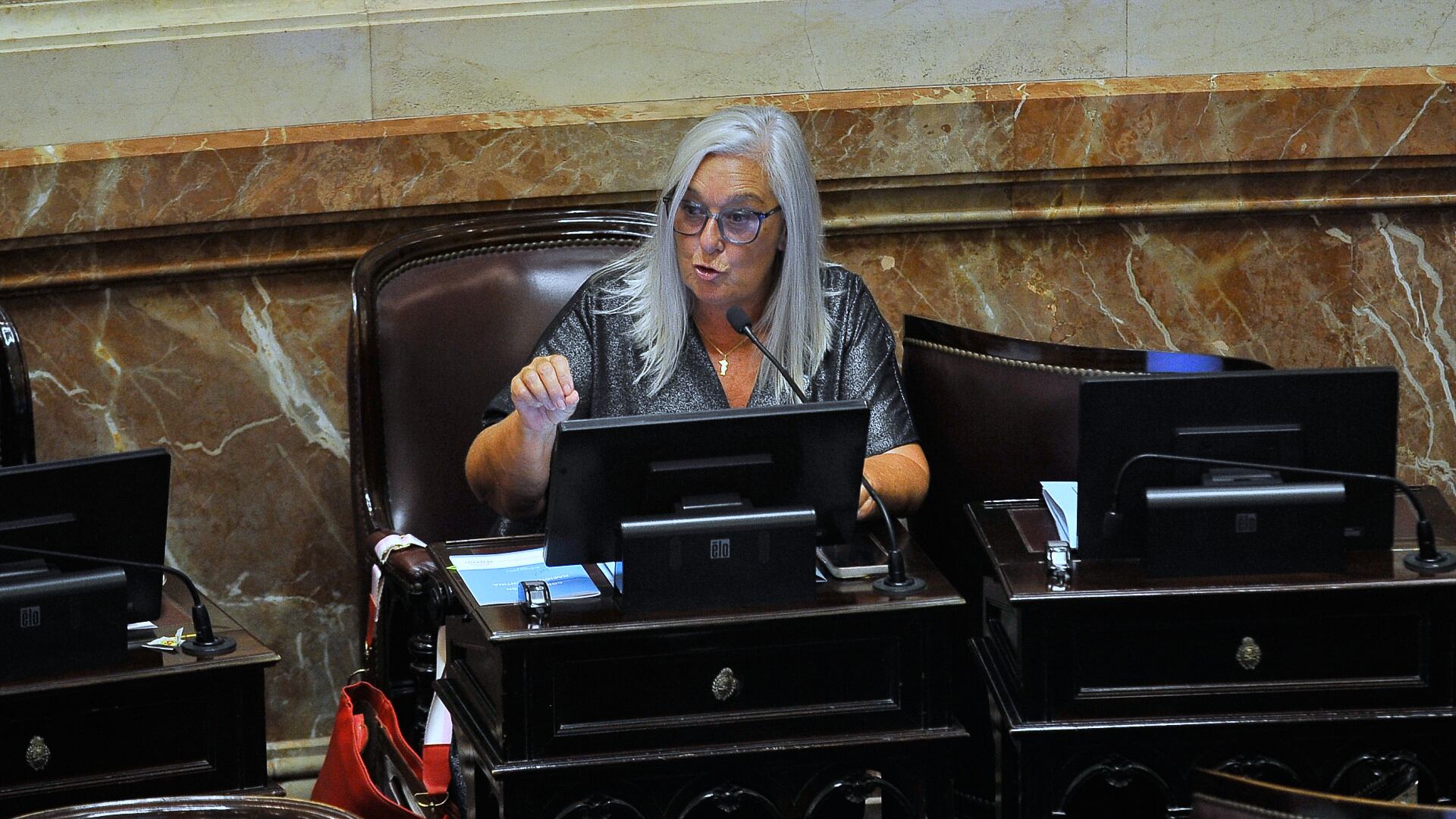 La senadora radical -aunque tributa en Provincias Unidas- Edith Terenzi (Gustavo Gavotti)