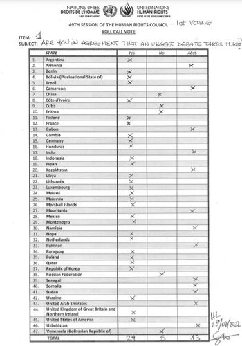 (Twitter UN Human Rights Council/@UN_HRC)