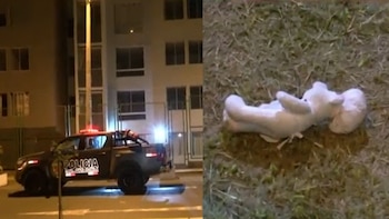 Imagen dividida mostrando un coche de policía frente a un edificio de apartamentos por la noche, y un peluche blanco tirado en el césped