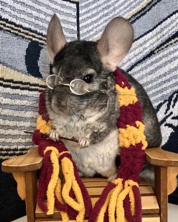 Han recreado a múltiples personajes