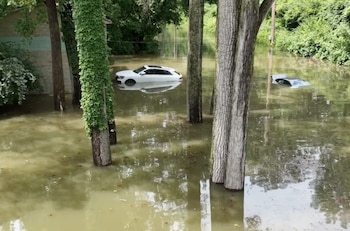 Agua cubriendo un área con árboles; un vehículo blanco y otro oscuro están parcialmente sumergidos