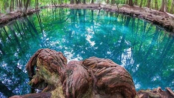 La laguna de manantial en San Luis Potosí donde el agua siempre está perfecta para nadar