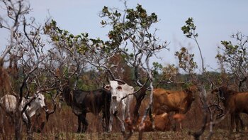 Estos son los departamentos de