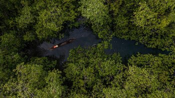 Colombia presentó la primera ley