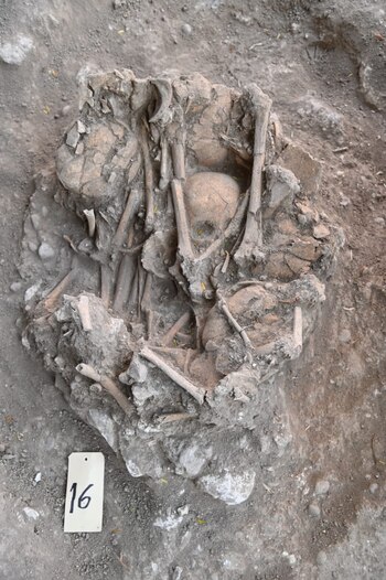 Algunos esqueletos no se encontraron