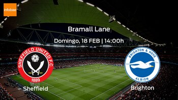 Sheffield United Brighton and Hove