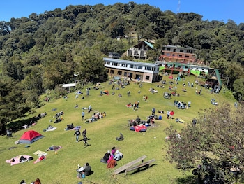 El Ministerio de Medio Ambiente