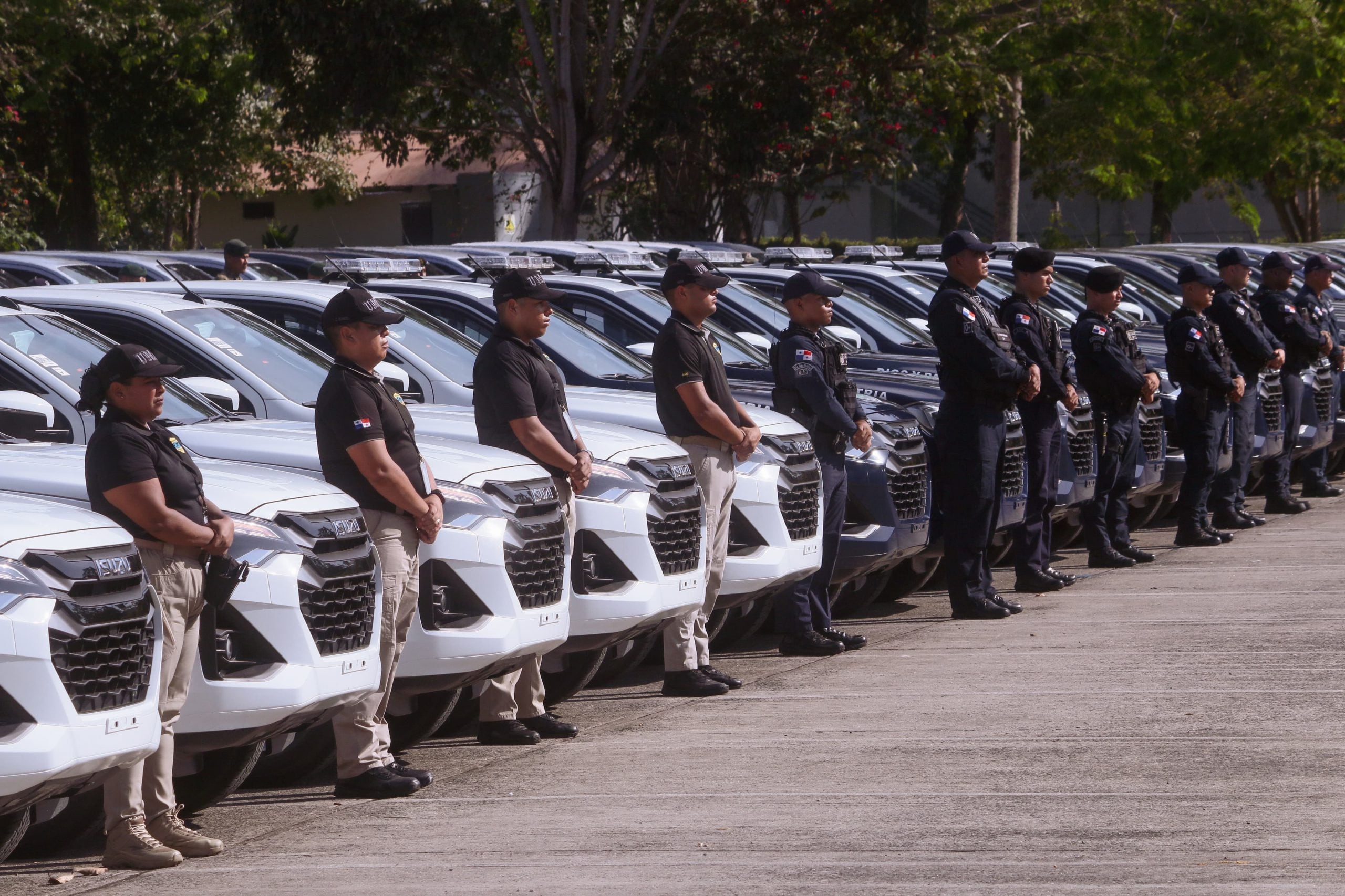 Las instituciones de seguridad, salud y educación siguen concentrando la mayor cantidad de personal. Cortesía Minseg