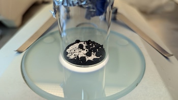 Un bólido atravesó su techo. Resultó ser un tesoro para la ciencia