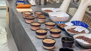El café salvadoreño es elegido por tercer año como grano oficial en campeonato noruego