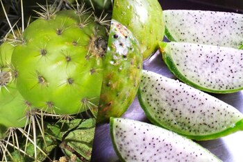 Él elabora una pasta de