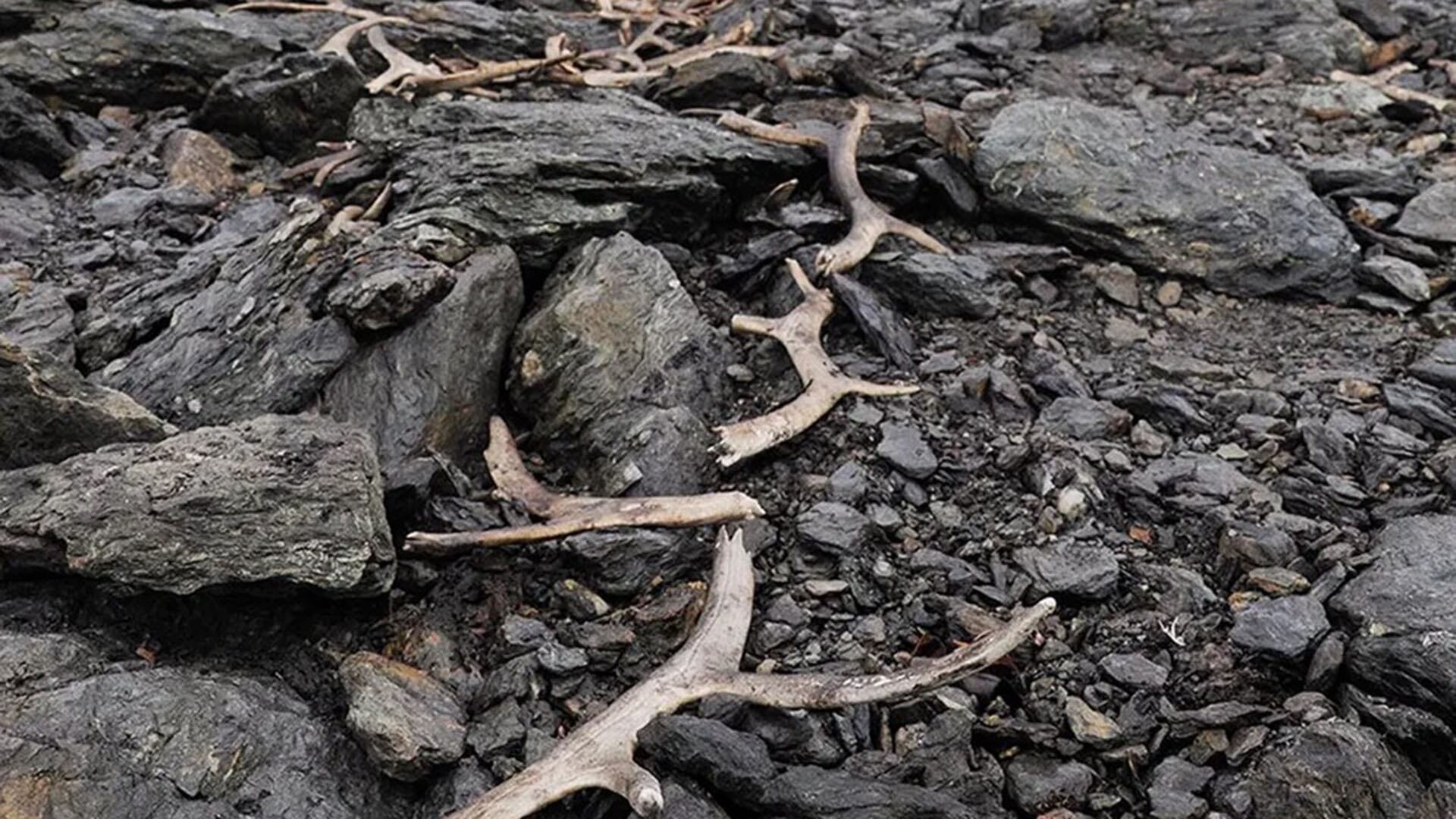 El hallazgo de una trampa para renos de 1.500 años en Aurlandsfjellet revela técnicas de caza de la Edad de Hierro en Noruega (University Museum of Bergen)