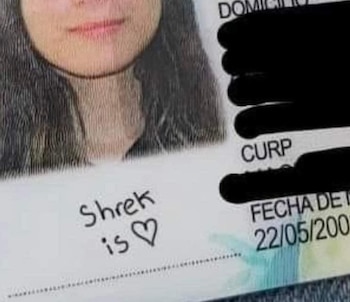 Usuarios en rede sociales viralizaron