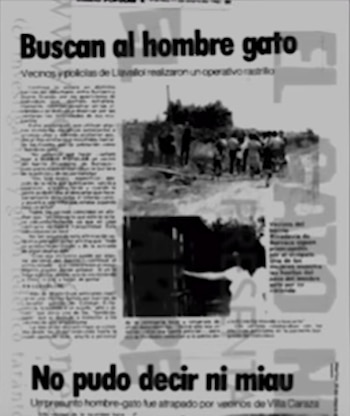 Hombre-gato 1984