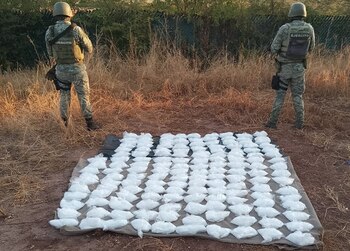 Fueron más de 150 bolsas