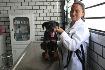 El lugar tiene como objetivo