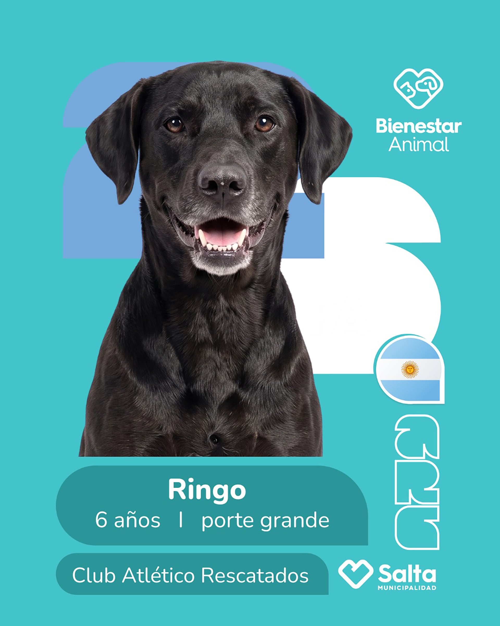 Es posible acercarse al centro para conocer a los animales.