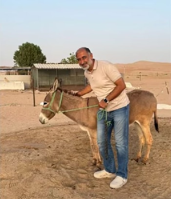 Día Mundial del Burro – burro – Perú – noticias – 8 mayo