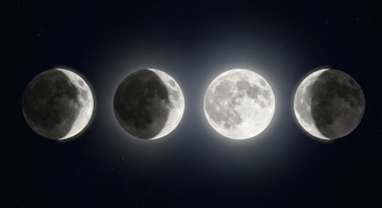 Cuatro fases principales de la luna alineadas horizontalmente: luna nueva, cuarto creciente, luna llena, cuarto menguante. Fondo espacial oscuro con estrellas.