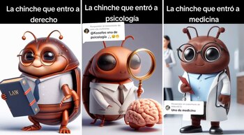 Descubre la Impactante Transformación de las Chinches en Estudiantes Universitarios