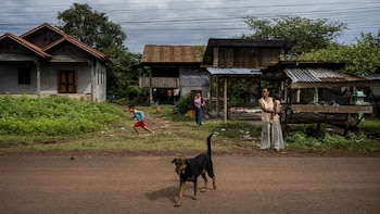 Personas y un perro son
