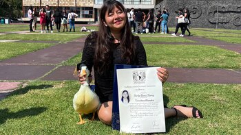 La Máxima Casa de Estudios