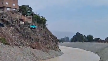 Viviendas precarias y animales en