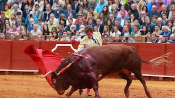 Polémica se volvió violenta