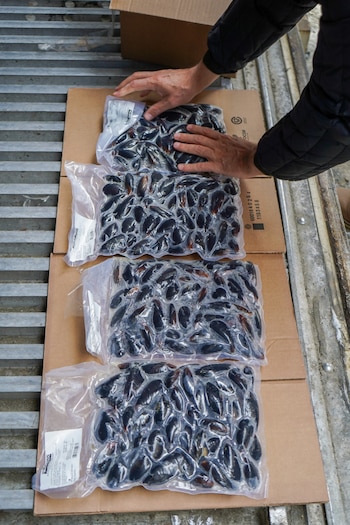 El primer envío de producción