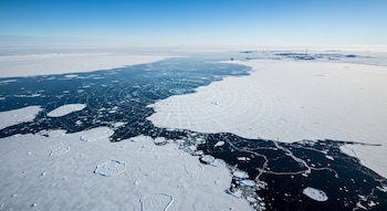 Un sistema pionero predice el