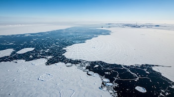 Crean un modelo que busca