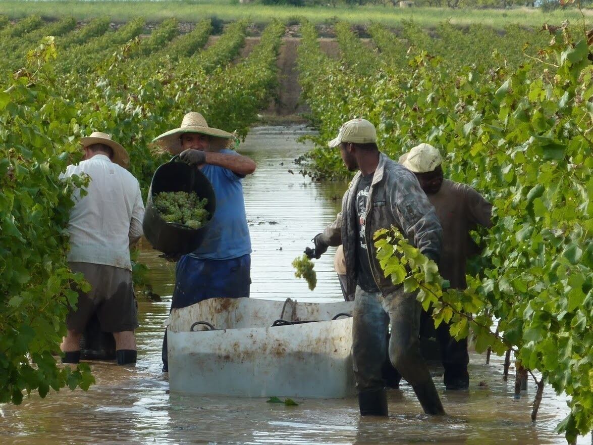 Listo el registro del porgrama transformando el campo Edomex 2025 (Foto: Europa Press)