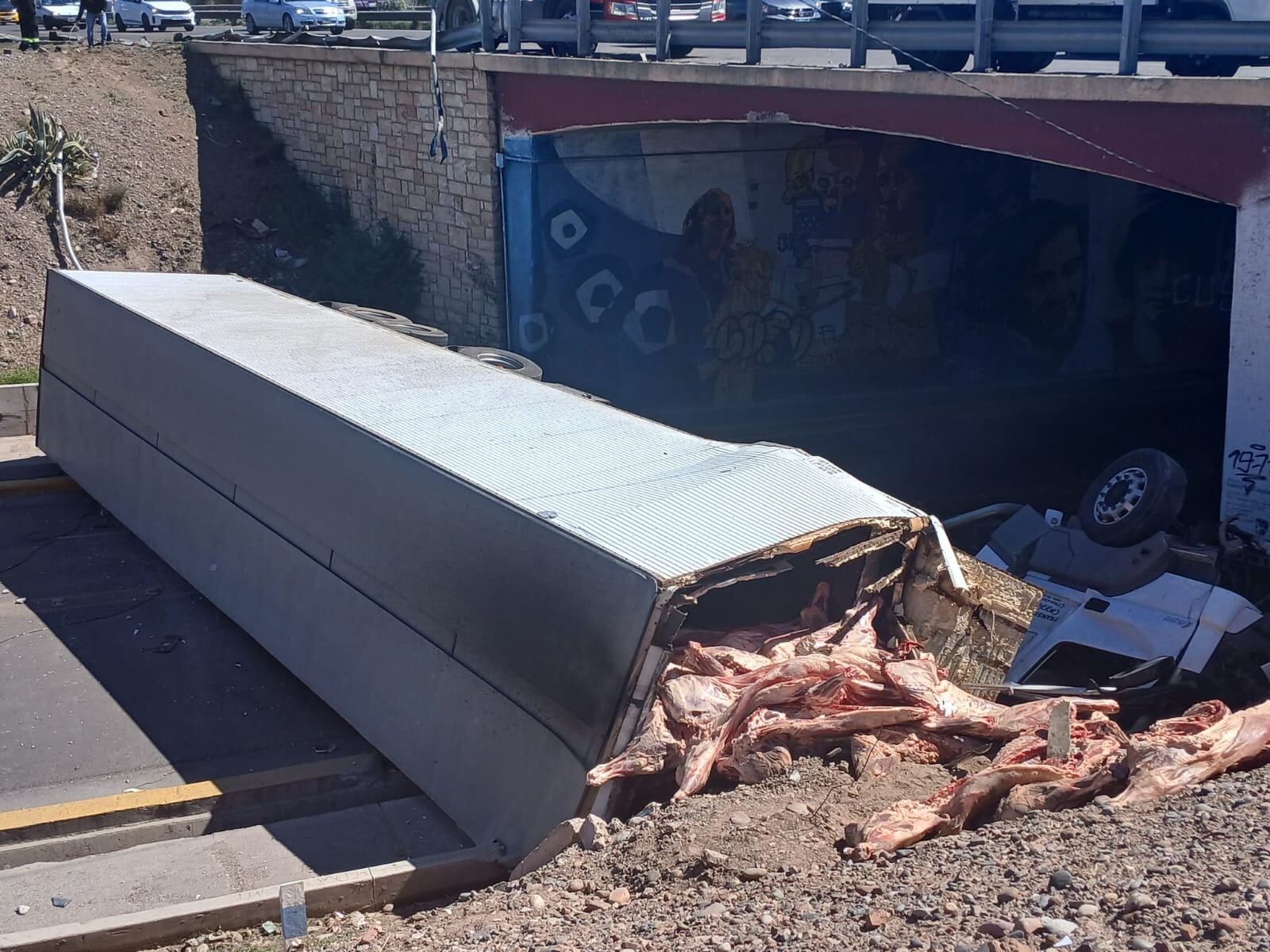 Un camión que transportaba carne cayó de un puente en Mendoza