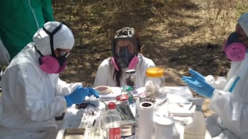 Por primera vez, detectaron en Catamarca roedores portadores de hantavirus