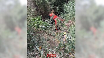 Un autobús con unos 60