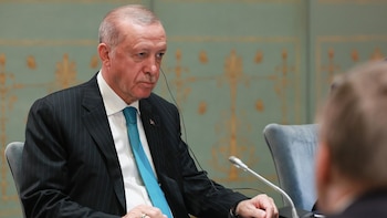 Condenado en Turquía a casi un año de prisión un cómico por insultar a Erdogan durante una actuación