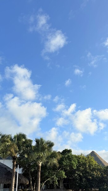 Susana Alvarado reaparece tras ser