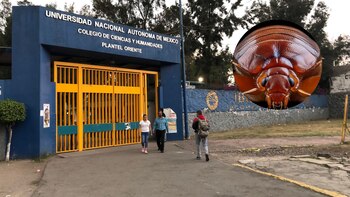 CCH cerró sus instalaciones ante