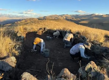 Varias personas agachadas excavan el terreno dentro de un recinto de piedras sobre un cerro con vegetación seca