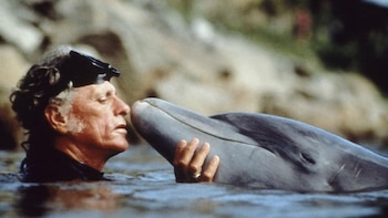 En The Cove , Richard O’Barry cuenta su experiencia con delfines en cautiverio.