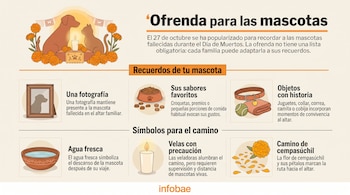 Infografía con ilustraciones de perro, gato, retrato, plato de alimento, collar con pelota, cuenco de agua, vela encendida y flores de cempasúchil.