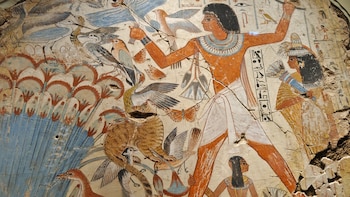 Carne de pato para los